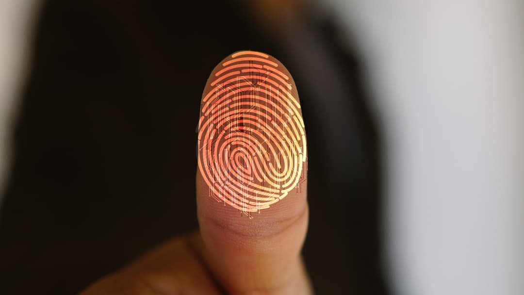 How Does Your Art Reveal Your Identity?